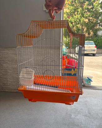 2 gabbie per uccelli 