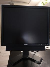 monitor DELL 19 pollici