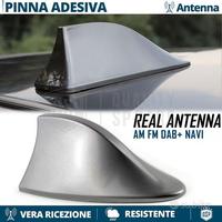 Antenna PINNA SQUALO per MERCRDES GRIGIA VERA