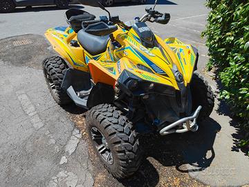 can am Renegade 500