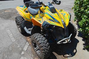 can am Renegade 500