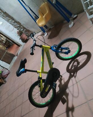bicicletta