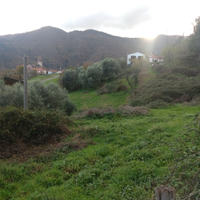 Terreno agricolo seminativo