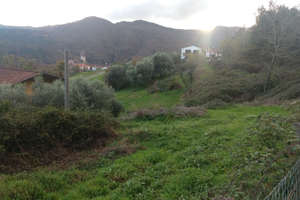 Terreno agricolo seminativo