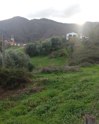 Terreno agricolo seminativo