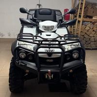 Quad Taiwan Golden Bee
