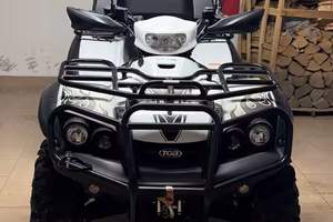 Quad Taiwan Golden Bee