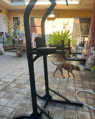 Sbarra trazioni (Training station 900)