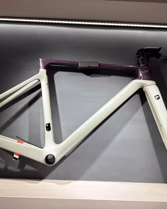 Focus Izalco Max 8.8 2024 –Tg.48