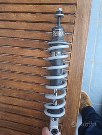 Coppia ammortizzatori BMW R1150R