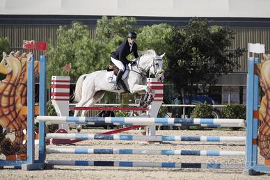 Cavallo per categorie brevetto e Primo Grado re
