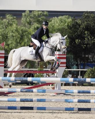Cavallo per categorie brevetto e Primo Grado re