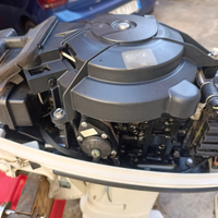 Motore fuoribordo Johnson 15 CV gambo lungo