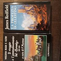 Il BOUNTY   e La Profezia di Celestino 