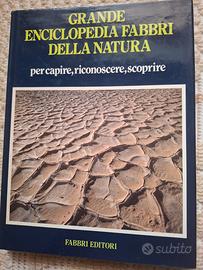 Enciclopedia universale 