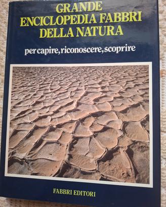 Enciclopedia universale 