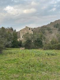 Rustico / Casale di 152 m² a Ausonia