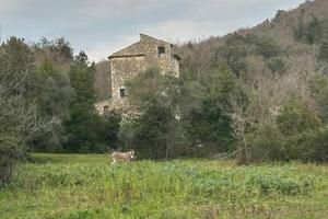Rustico / Casale di 152 m² a Ausonia