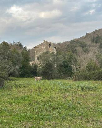 Rustico / Casale di 152 m² a Ausonia