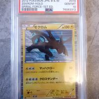 Zekrom holo 019/051 1st ed. - PSA 10