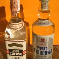2 bottiglie vodka e tequila