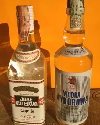 2 bottiglie vodka e tequila