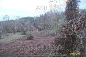 Terreno Agricolo Ponte dell'Olio [A4288868]