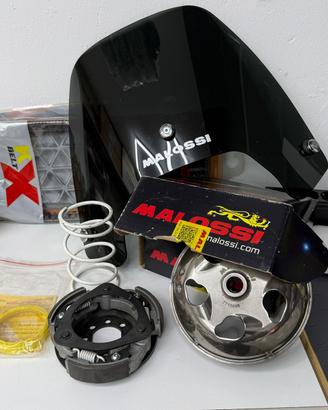 Kit malossi beverly 300