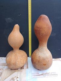 Zucche sarde ornamentali 