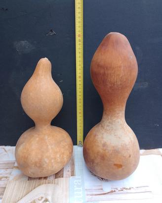Zucche sarde ornamentali 