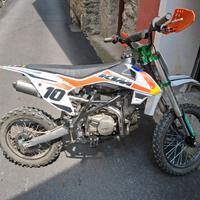 Pit bike 125 4t motore derivazione honda