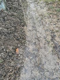 terra da riempimento