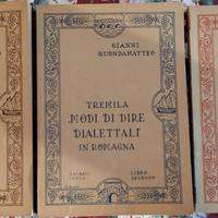 Tremila modi di dire dialettali in Romagna