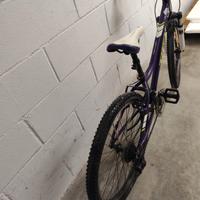 precaliber 24 suspension