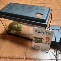 Acquario Atlantis 40