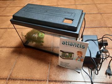 Acquario Atlantis 40
