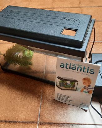Acquario Atlantis 40