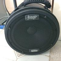 Acoustic Image Upshot 300 watt 1x10