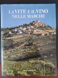 La vite e il vino nelle Marche
