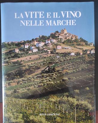 La vite e il vino nelle Marche