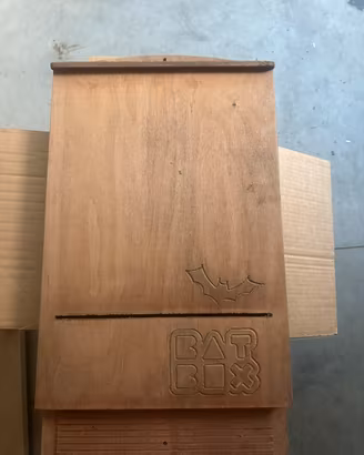 Bat box casa per pipistrelli