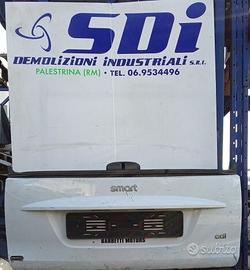 Portellone baule smart 451