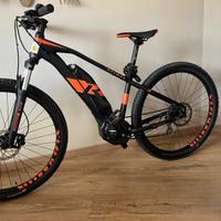 E-MTB R Raymon 29" - Motore Yamaha - Con batteria