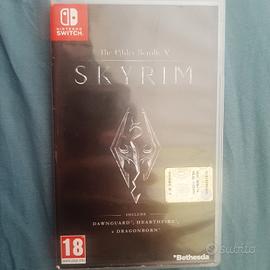 The Elder Scrolls V Skyrim Switch