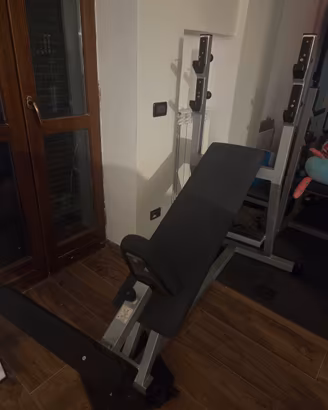 Panca Inclinata Professionale Technogym