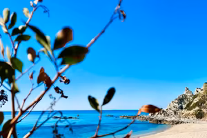 Case vacanza 500mt dal mare, Capo Vaticano Tropea