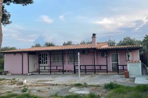 Casa di campagna e terreno