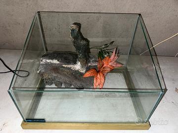 Acquario per tartaruga