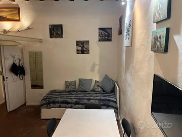 Monolocale con balcone e condominio incluso