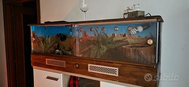 Terrario per rettili 